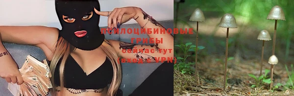 шишки Зеленодольск