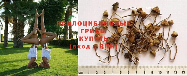 альфа пвп Зеленокумск