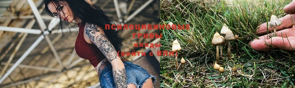 шишки Зеленодольск